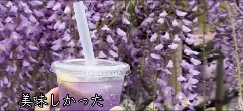 おでかけ情報！のTikTok投稿