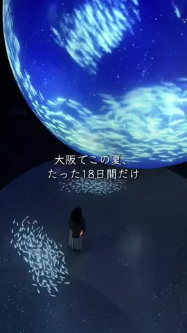 keitabi_osakaのTikTok投稿
