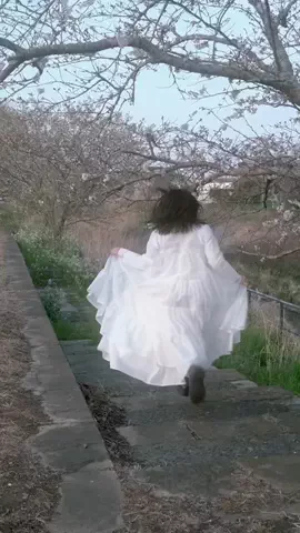 kaniのTikTok投稿