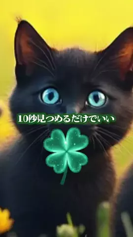 泉のTikTok投稿