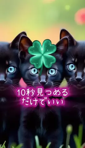 泉のTikTok投稿