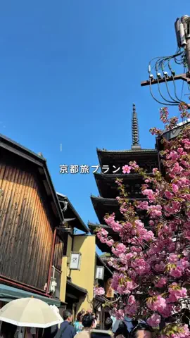 mii_solotravelのTikTok投稿