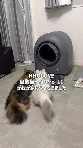 あめむぅ🥺🍼のTikTok投稿
