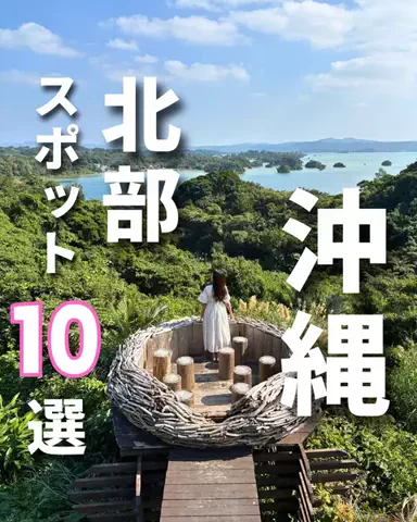 mocoのおでかけ日記のTikTok投稿