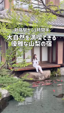いけちゃん 🐶🫧のTikTok投稿