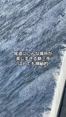 マッスル親子のTikTok投稿