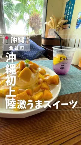 なおこ⌇知らなきゃ損『無料』で沖縄旅行🌴のTikTok投稿