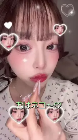 にこにこねこのTikTok投稿
