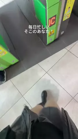 凛々🐼のTikTok投稿
