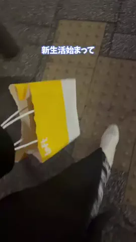 凛々🐼のTikTok投稿