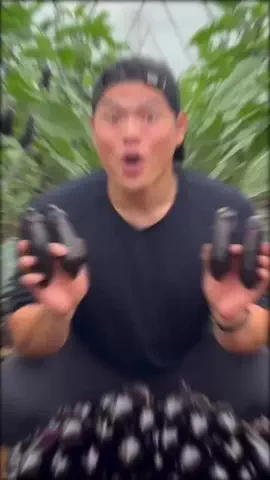 バヤシ🥑BayashiのTikTok投稿