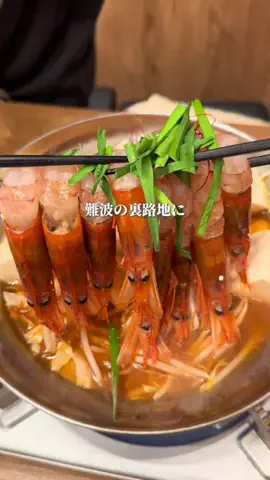 おりのTikTok投稿