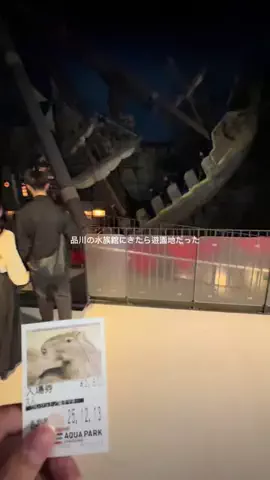 東京暮らしを楽しむ人のTikTok PR投稿：東京暮らし記録|遊園地みたいな水族館に行った日。 中に…