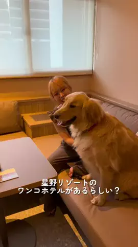 おにゅこじハウスのTikTok投稿