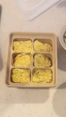 タコ太郎の日常とご飯🐙のTikTok投稿