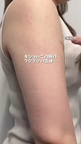 しいちゃまのTikTok投稿