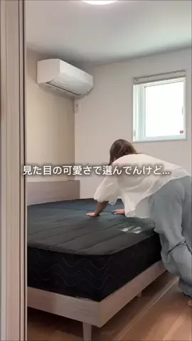 らいのTikTok投稿