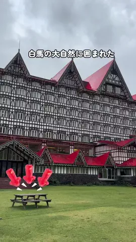 はなちゃん🍎ツアコン🇯🇵♨️のTikTok投稿