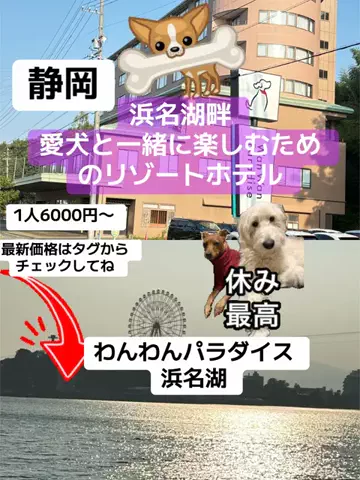 はなちゃん🍎ツアコン🇯🇵♨️のTikTok投稿