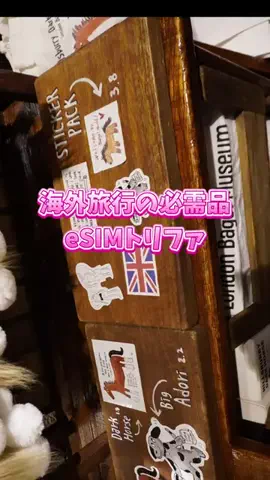 りせのTikTok投稿