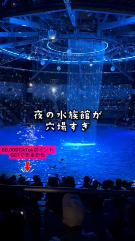 ペリー来航のTikTok投稿