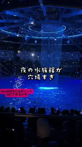 ペリー来航のTikTok投稿