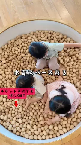 ペリー来航のTikTok投稿