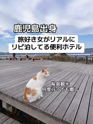 あかり|年100日旅暮らし✈️子連れも♡のTikTok投稿