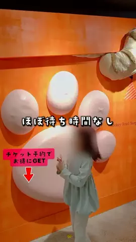 ペリー来航のTikTok投稿