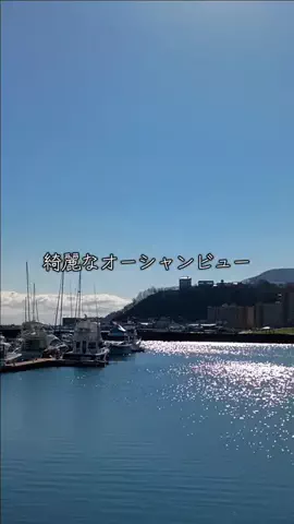 トトロのTikTok投稿