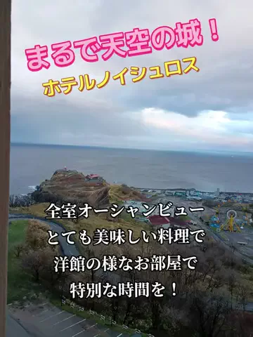 トトロのTikTok投稿