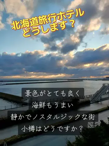 トトロのTikTok投稿