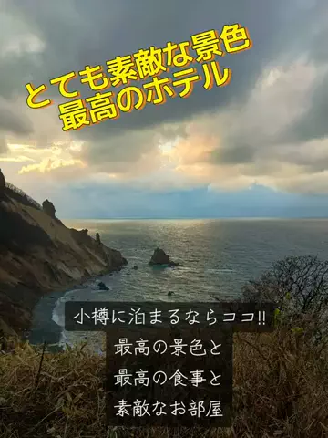 トトロのTikTok投稿