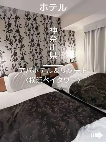 デンじょーの旅のTikTok投稿