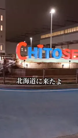 トトロのTikTok投稿