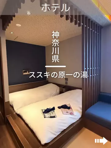 デンじょーの旅のTikTok投稿