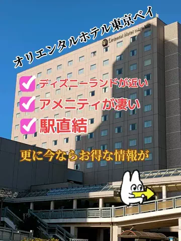 トトロのTikTok投稿