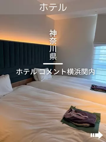 デンじょーの旅のTikTok投稿