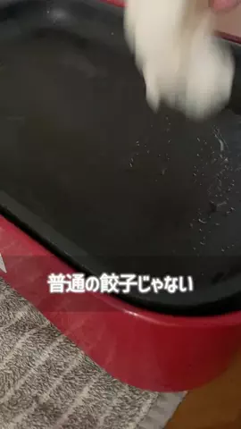 こっとんのTikTok PR投稿：#tiktokshop #pr #小籠包餃子 