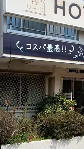 トトロのTikTok投稿