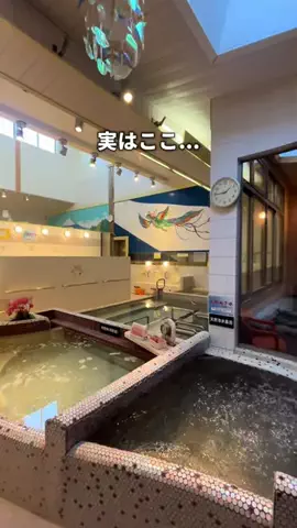 サウナコレクション【サウコレ！】のTikTok投稿