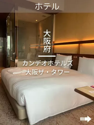 デンじょーの旅のTikTok投稿