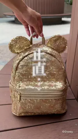 ぽにか｜ディズニーに沼る女子🎀のTikTok投稿