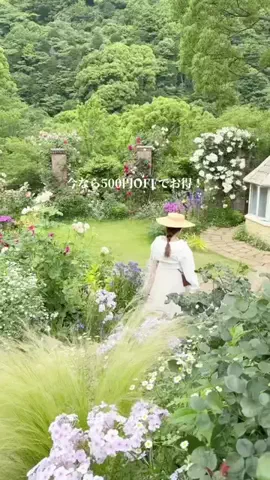 東京いいねちゃん👵🏻🤍のTikTok投稿