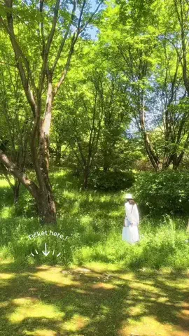東京いいねちゃん👵🏻🤍のTikTok投稿