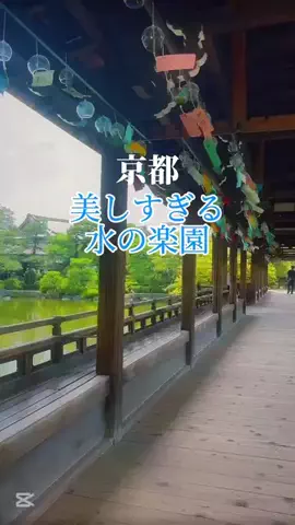 京都コンシェル❀めぐみ❀のTikTok投稿