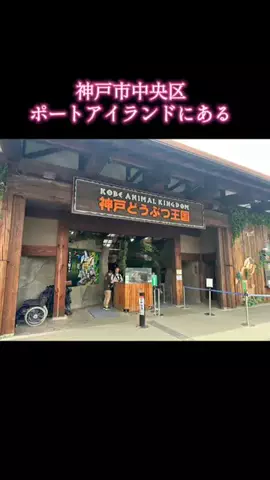 ホテル紹介チャンネルのTikTok投稿