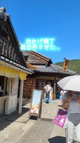 京都コンシェル❀めぐみ❀のTikTok投稿