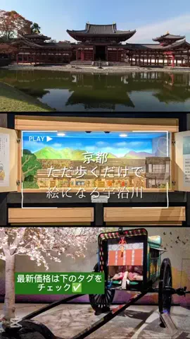 京都コンシェル❀めぐみ❀のTikTok投稿