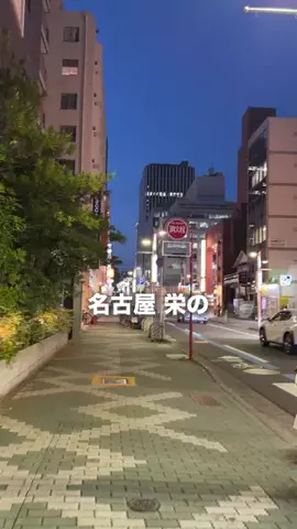 名古屋グルメ【ナゴグル】🍤のTikTok投稿